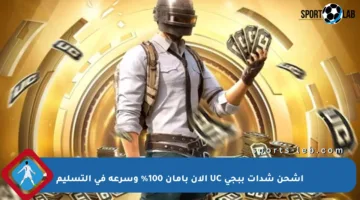 اشحن شدات ببجي UC الآن بأمان 100% وسرعة في التسليم